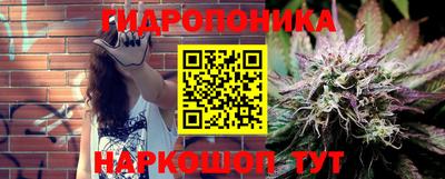 каннабис Кингисепп