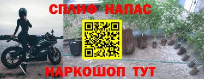 каннабис Кингисепп