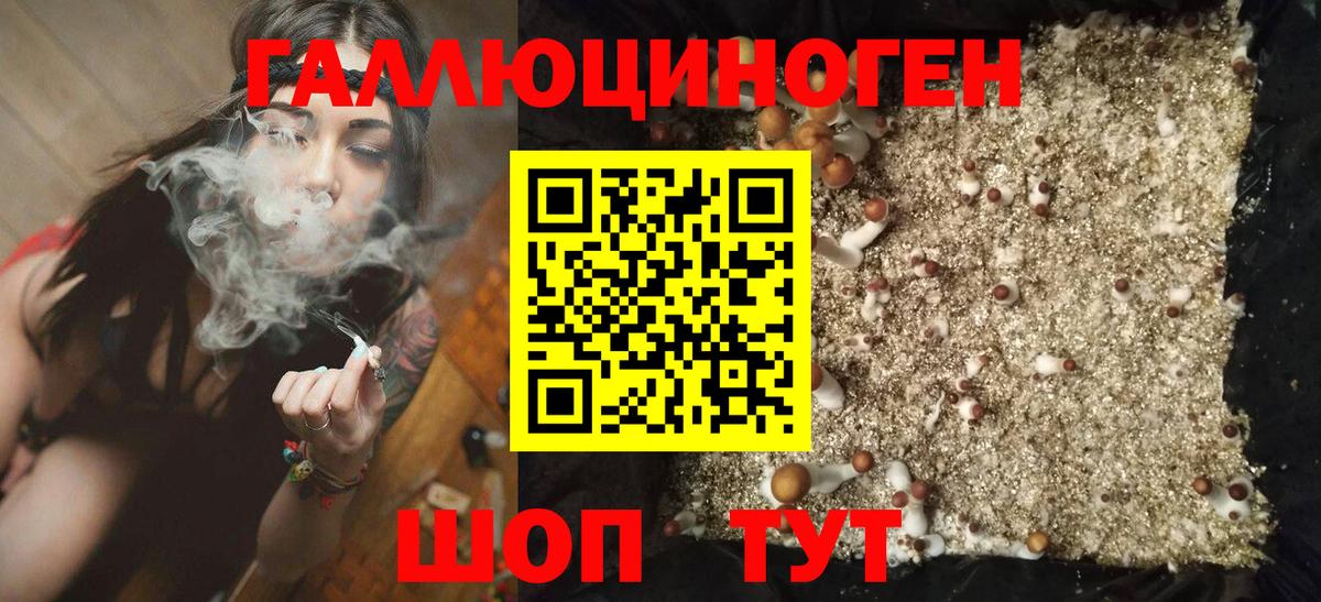 Биробиджан  Галлюциногенные грибы мицелий  Вход с VPN 